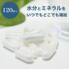 画像をギャラリービューアに読み込む, H2サプリ　H2 supplement
