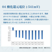 画像をギャラリービューアに読み込む, H2サプリ　H2 supplement
